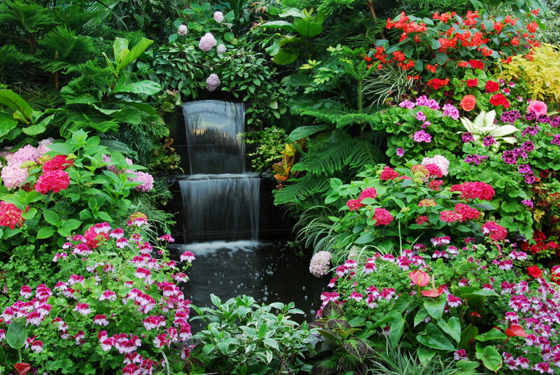 een waterval in je tuin maken